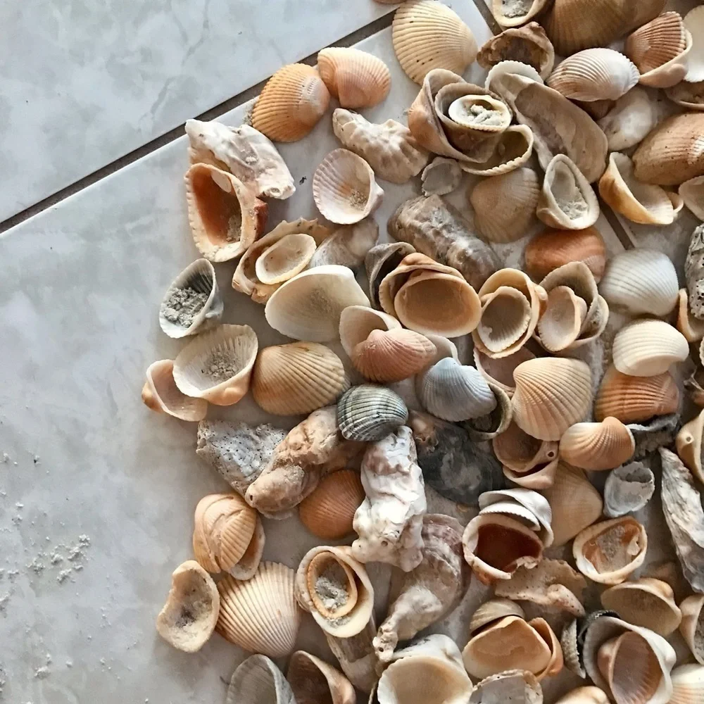 Custom shell bundle — PLEASE READ - Picture 14 of 16